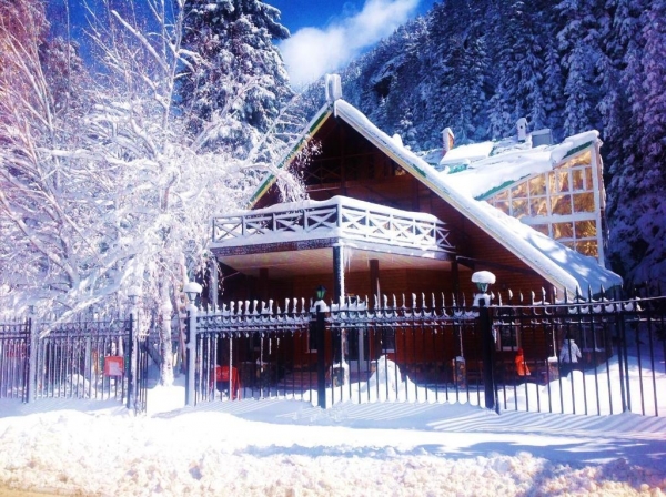 Отель «Гоначхир»