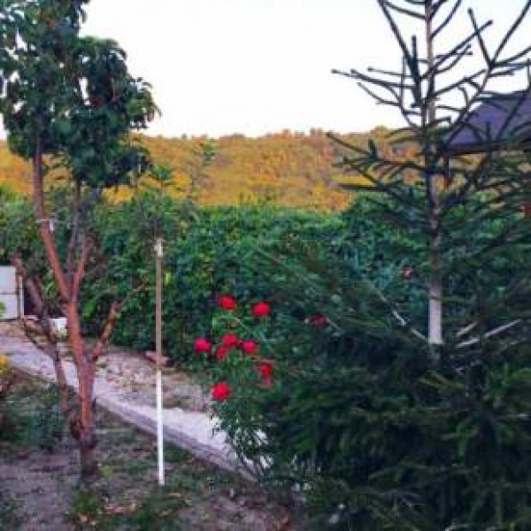 Гостевой дом Mzymta