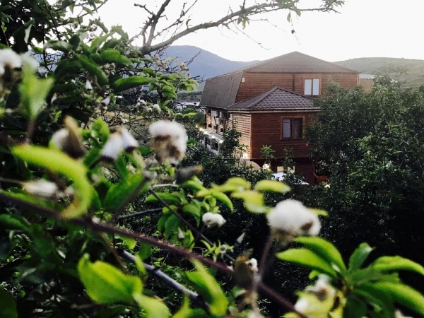 Гостевой Дом Три богатыря