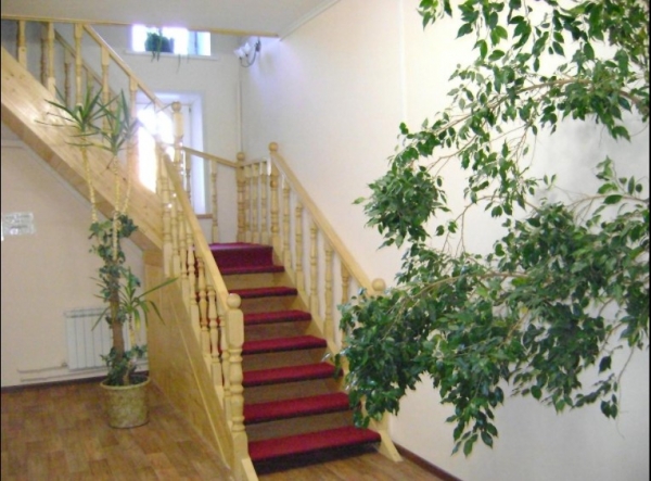 Гостевой дом «Галчонок на улице Алексея Толстого»