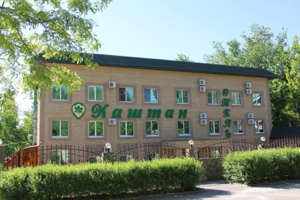 Отель Каштан