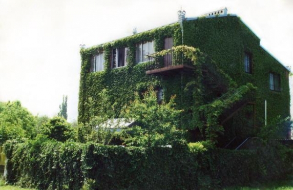 Гостевой дом «Владимир»