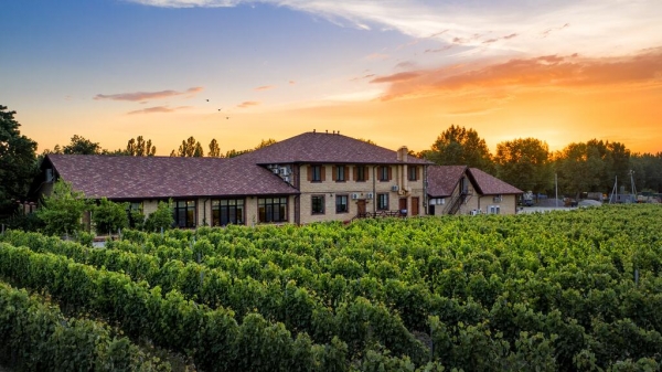 Мини-гостиница Винотеррия