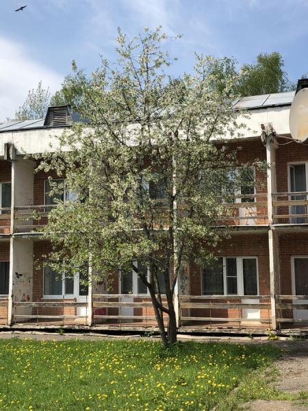 Отель «Дом творчества имени Д. Н. Кардовского»