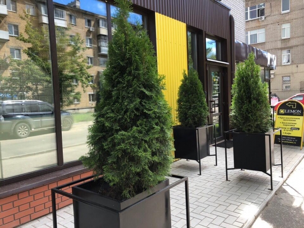 Отель Lemon Loft