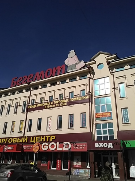 Отель Бегемот