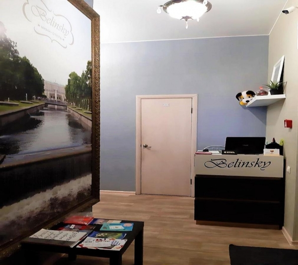 Отель Belinsky