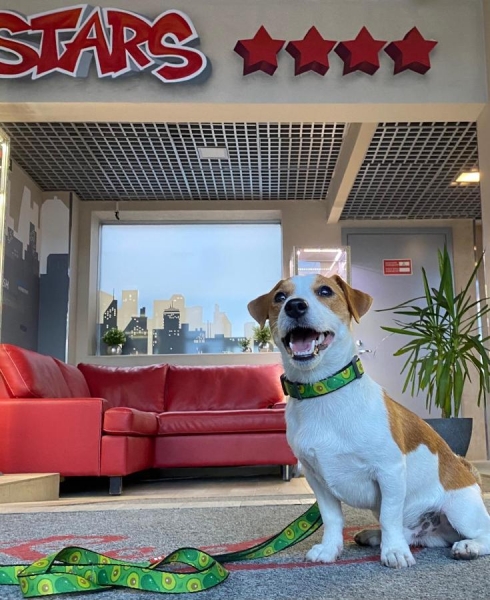 Отель Red Stars