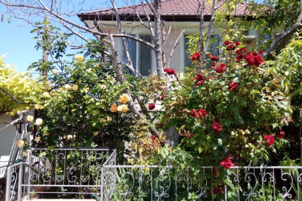 Гостевой Дом Marine