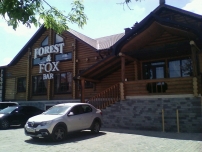 Forest & Fox