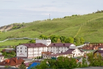 Парк-Отель «Вишневая Гора»