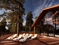 Отель Green Wood Spa