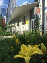 Отель «Абрикос»